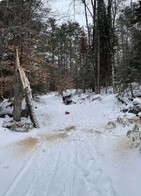 Local Volunteer Ryan Recognized